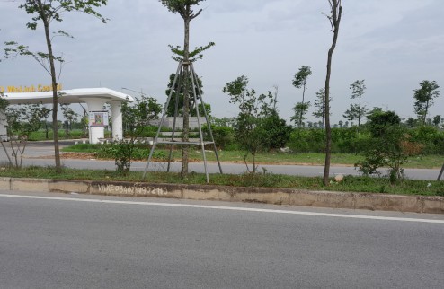Bán biệt thự KĐT Mê Linh Thanh Lâm Đại Thịnh,Huyện Mê Linh,lô BT*02 nhỉnh 30tr/m
